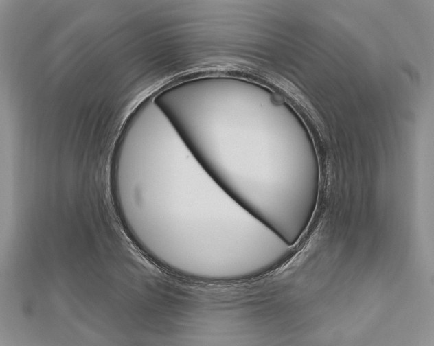 X0000113150834200909040930