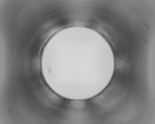 X0000113150836200909040930