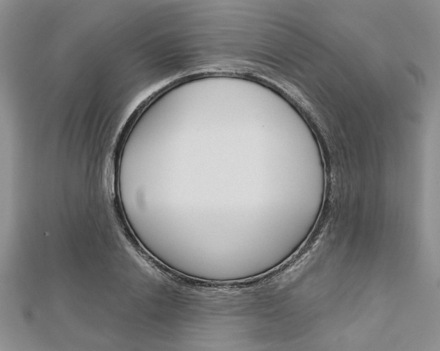 X0000113150838200909040930