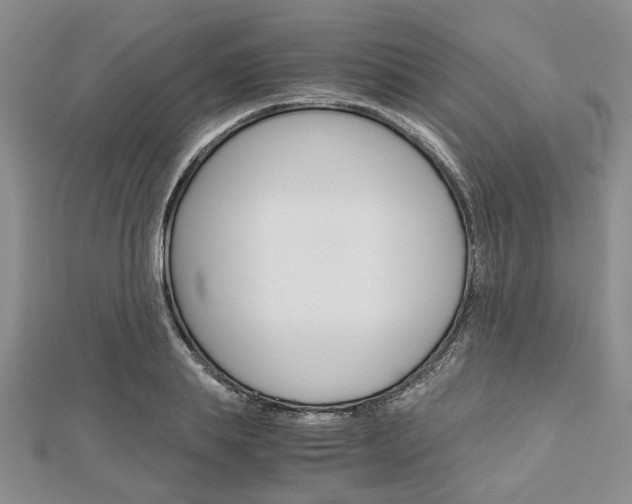 X0000113150839200909040930