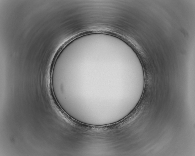 X0000113150840200909040930