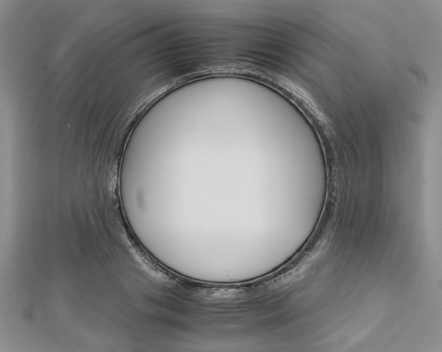 X0000113150841200909040930