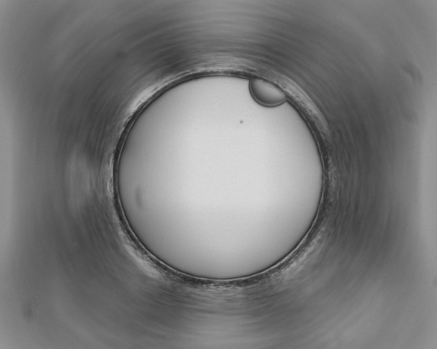 X0000113150842200909040930