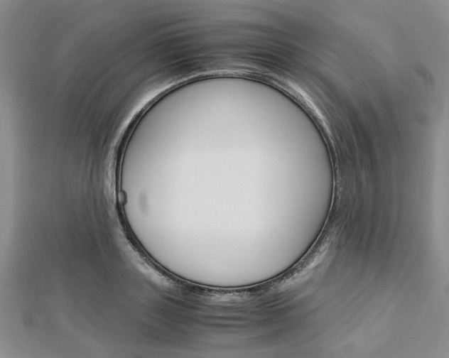 X0000113150843200909040930