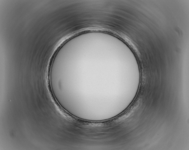 X0000113150845200909040930
