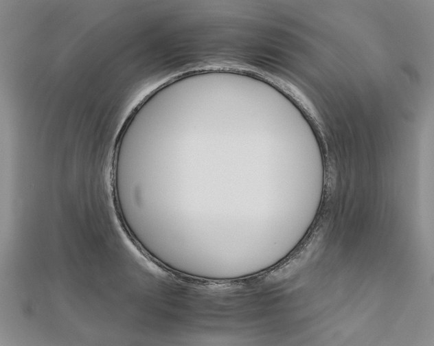 X0000113150847200909040930