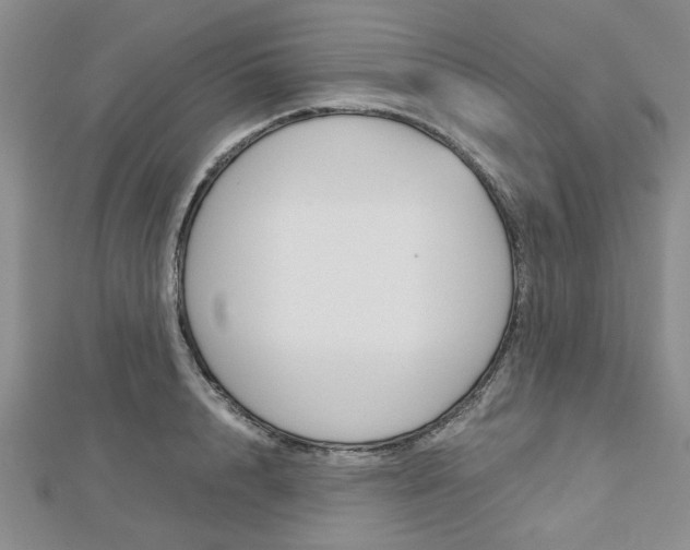 X0000113150848200909040930