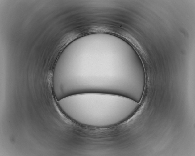 X0000113150849200909040930