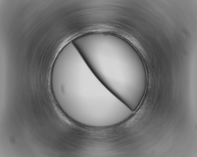 X0000113150850200909040931