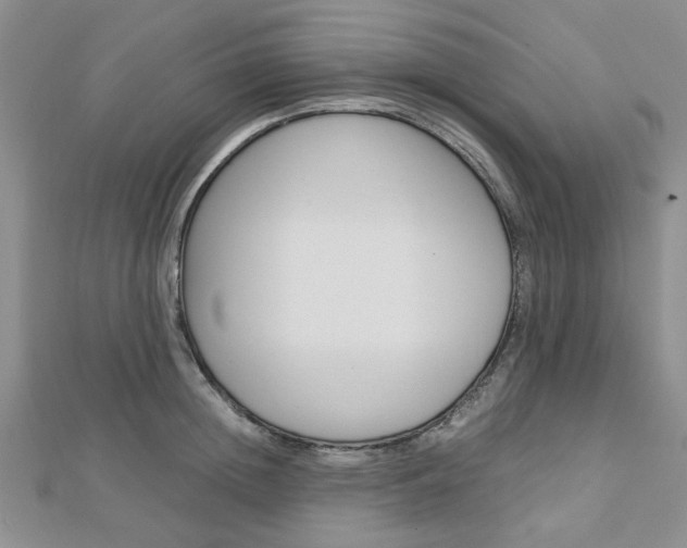X0000113150852200909040931