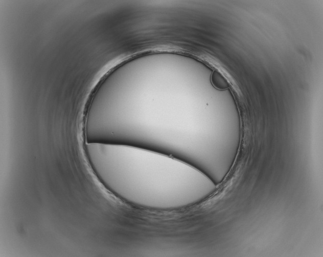 X0000113150853200909040931