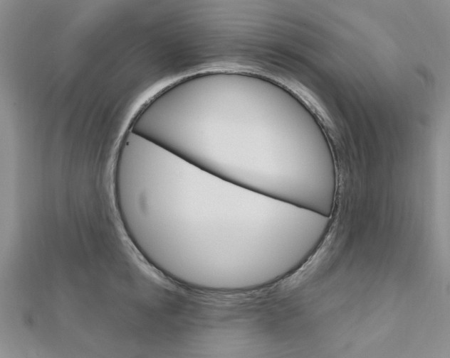 X0000113150854200909040931
