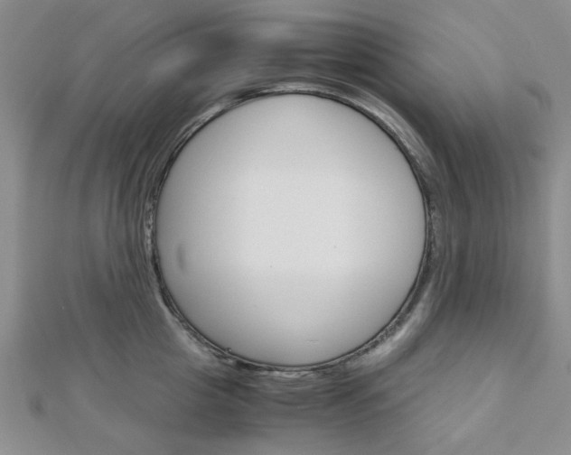 X0000113150857200909040931