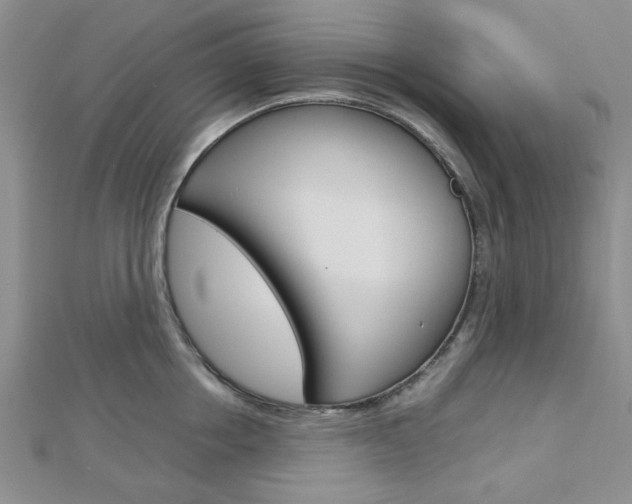 X0000113150858200909040931
