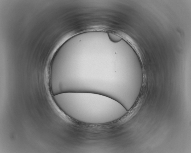X0000113150859200909040931