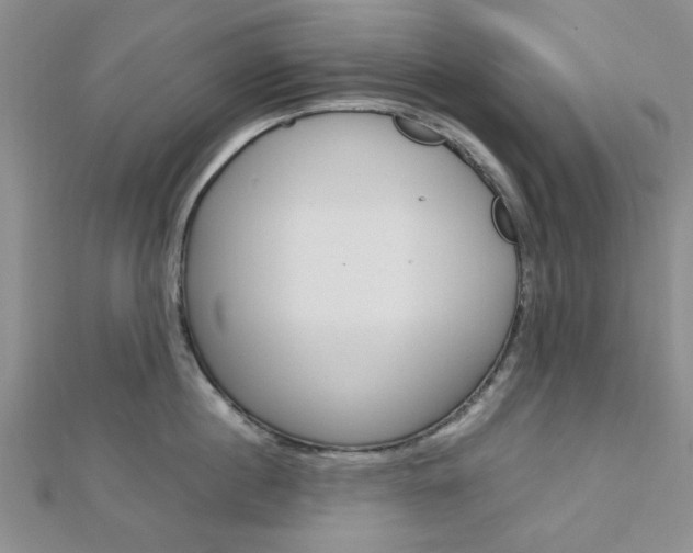 X0000113150860200909040931