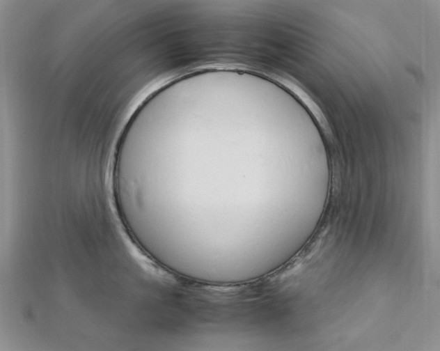 X0000113150861200909040931