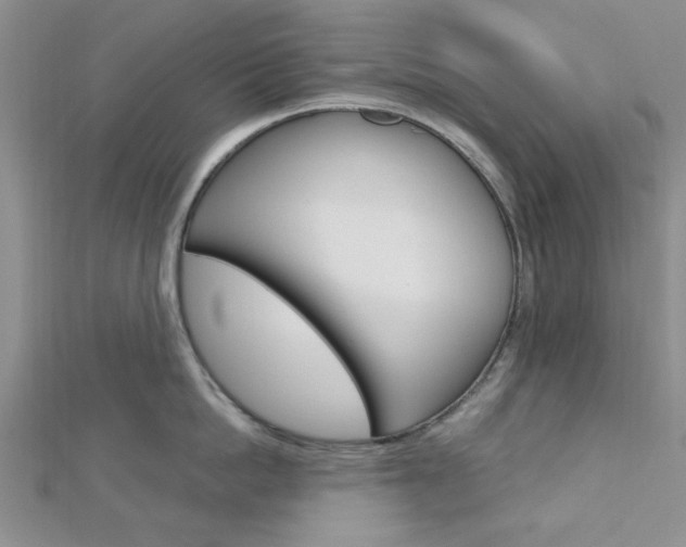 X0000113150862200909040931