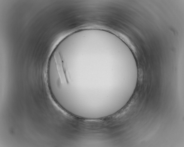 X0000113150863200909040931