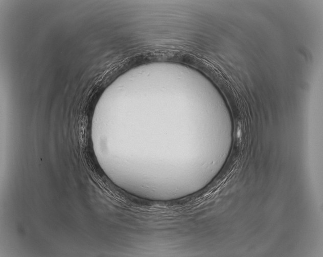 X0000113150867200909040930