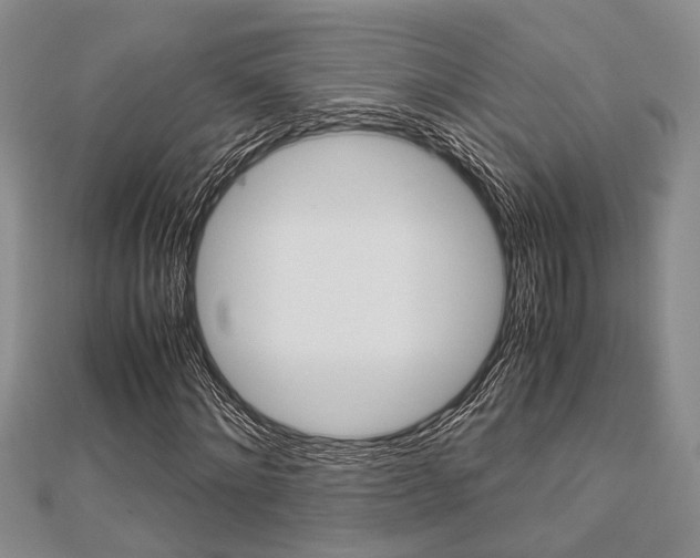 X0000113150868200909040930