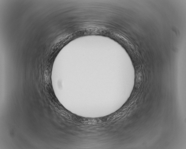 X0000113150869200909040930