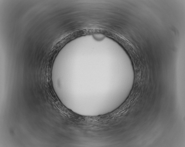 X0000113150870200909040930