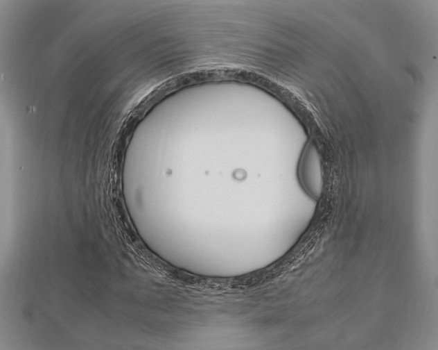 X0000113150871200909040930