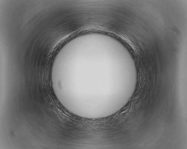 X0000113150872200909040930