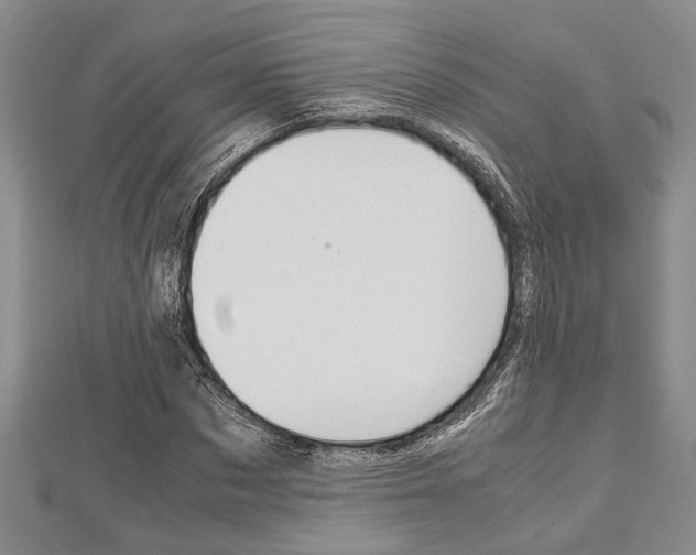 X0000113150873200909040930