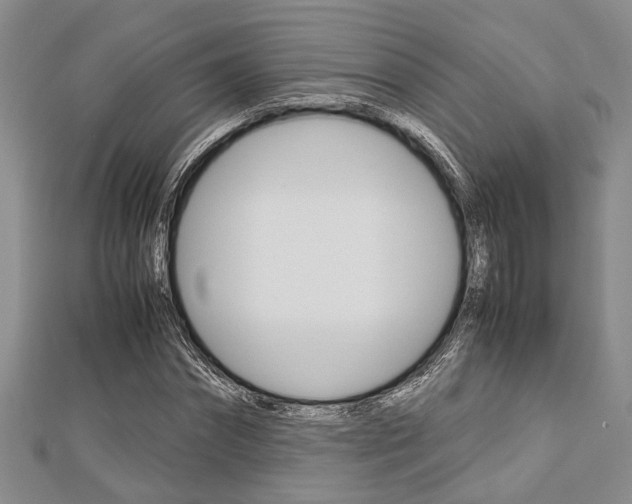X0000113150874200909040930