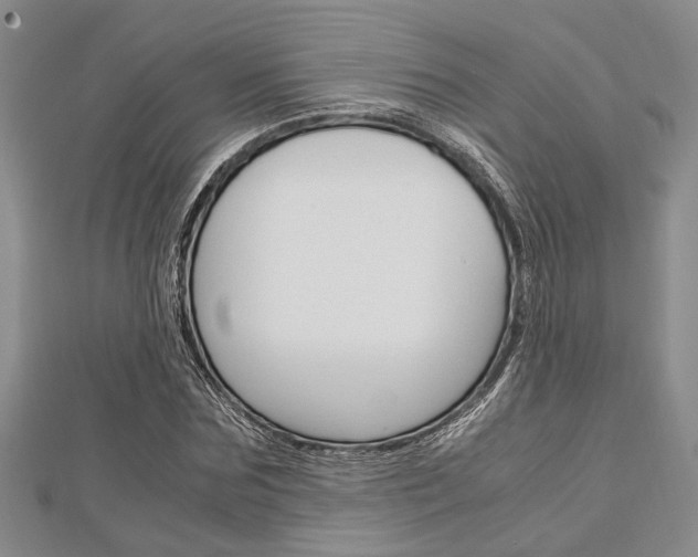 X0000113150875200909040930