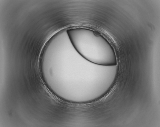 X0000113150876200909040930