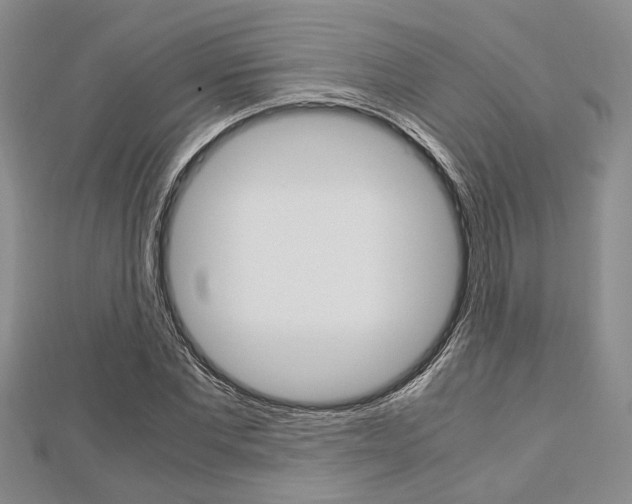 X0000113150877200909040930