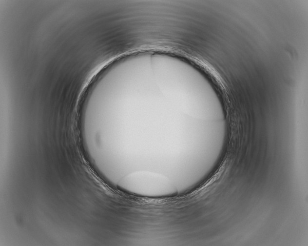 X0000113150878200909040930