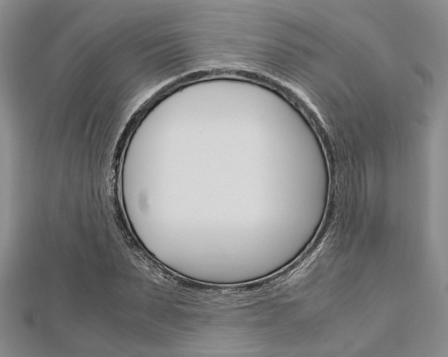X0000113150879200909040930