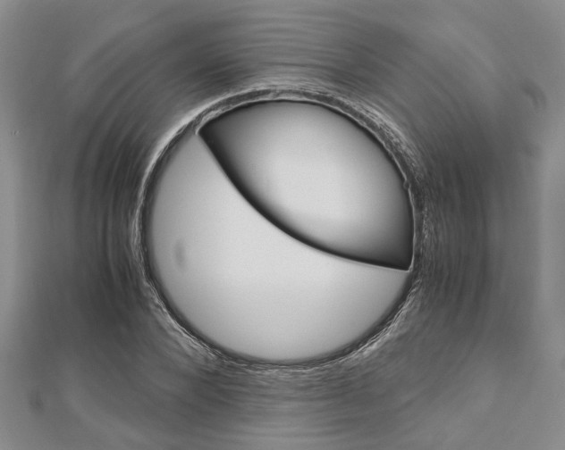 X0000113150880200909040930