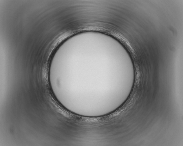 X0000113150882200909040930