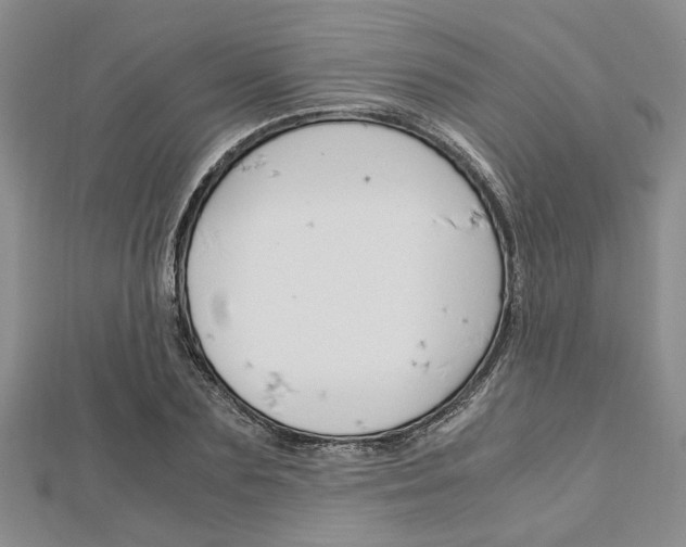 X0000113150883200909040930
