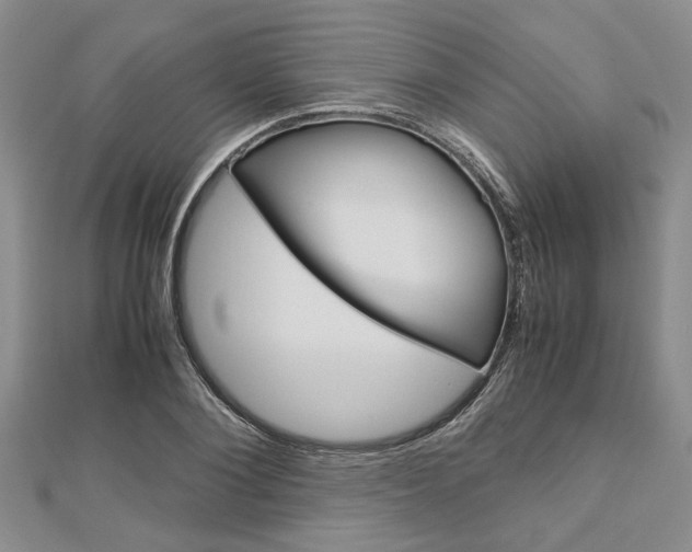 X0000113150884200909040930
