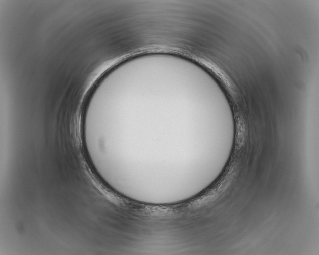 X0000113150886200909040930