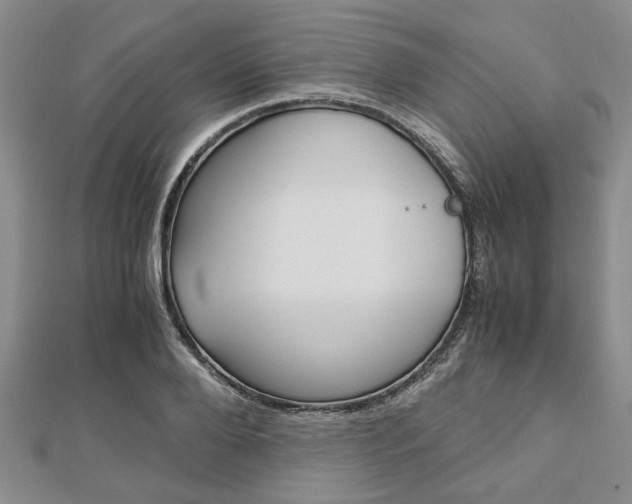 X0000113150888200909040930