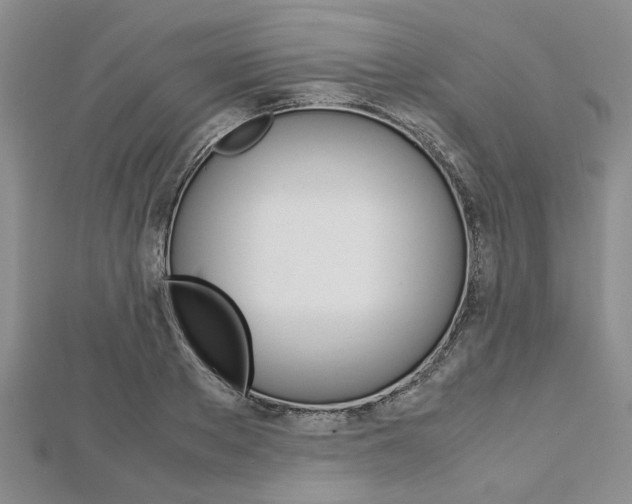 X0000113150889200909040930