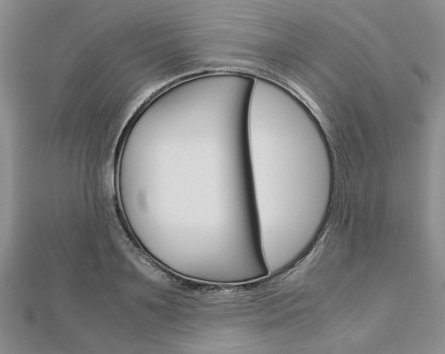 X0000113150891200909040930