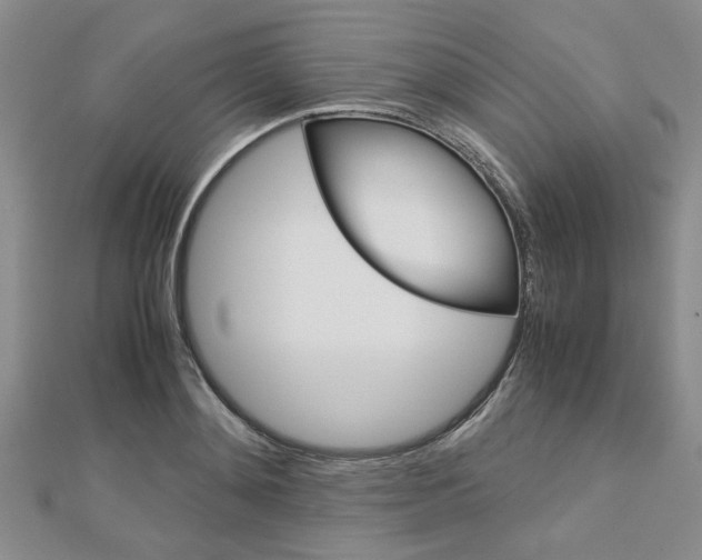 X0000113150892200909040930