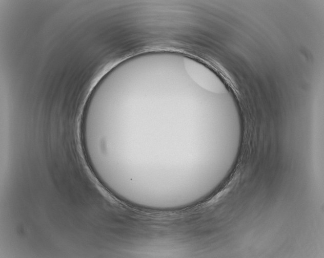 X0000113150893200909040930
