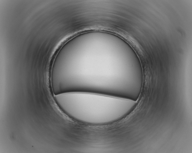 X0000113150896200909040930