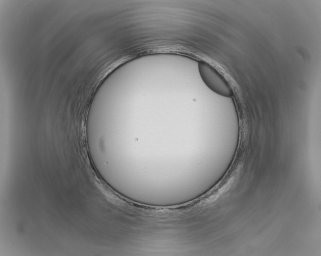 X0000113150897200909040930