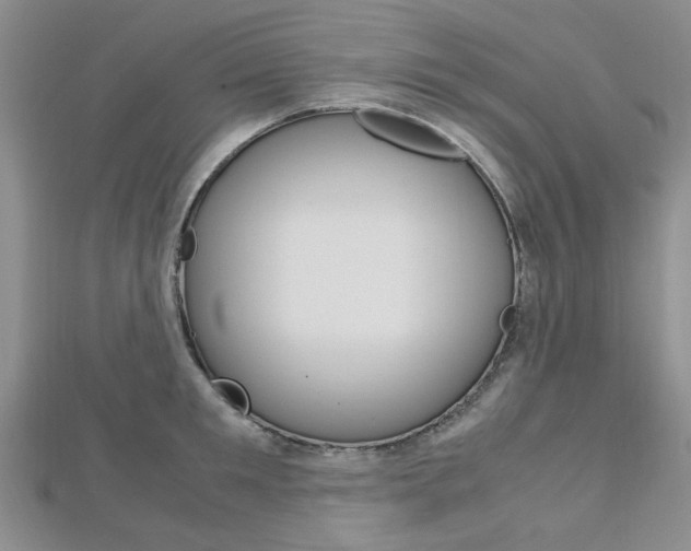 X0000113150901200909040930