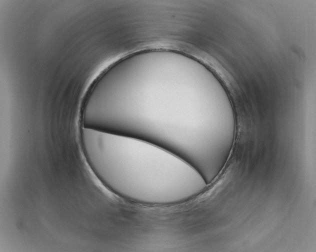 X0000113150902200909040930